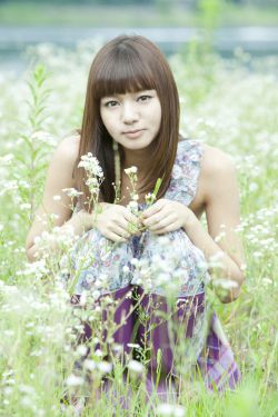 娼年在线观看 封面