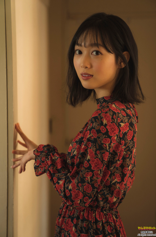 韩国理伦片在线观看影片 封面