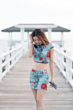 zhenhuanzhuan 封面