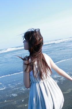 新乌龙院2 封面